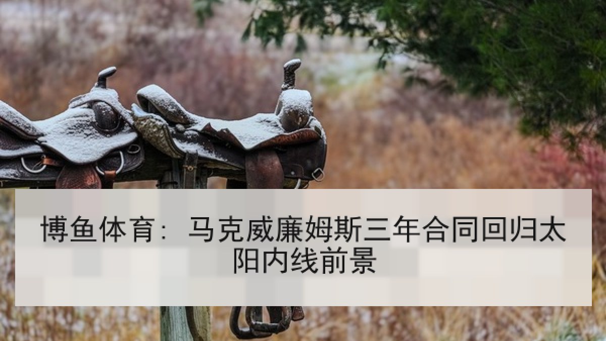 博鱼体育: 马克威廉姆斯三年合同回归太阳内线前景 博鱼体育: 马克威廉姆斯三年合同回归太阳内线前景
